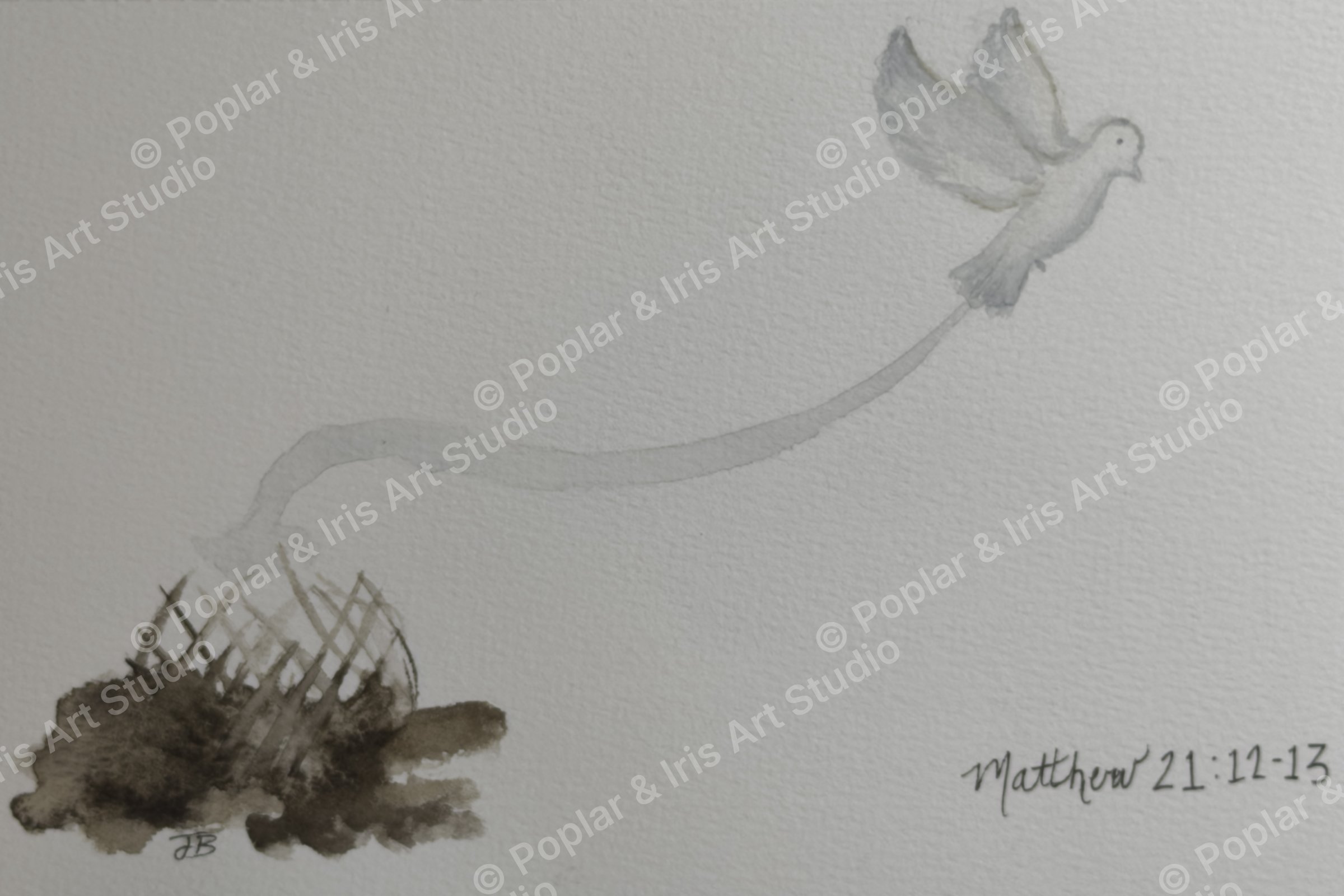 Watercolor of a single dove taking off